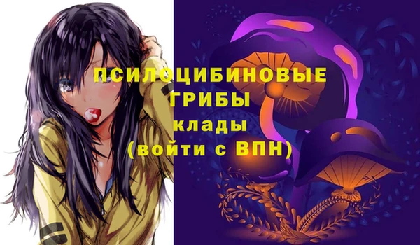 меф Белокуриха